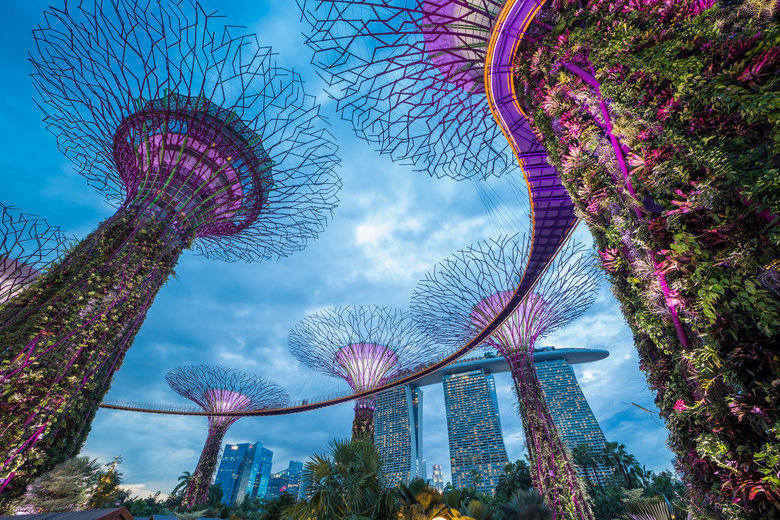싱가폴 법인설립, 싱가포르 사업, 싱가포르 법인, 싱가포르 진출, 싱가포르 회사설립